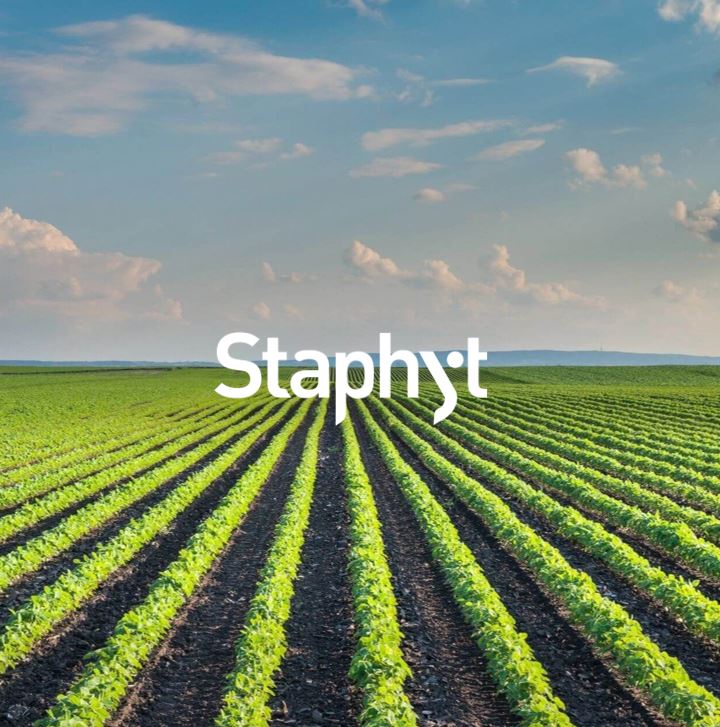 IRD INVEST ACCOMPAGNE STAPHYT